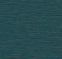 Tahitian Teal