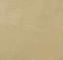 Pearl Beige