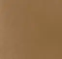 Brown Beige