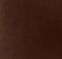 Chocolate Brown