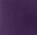 Purple Violet