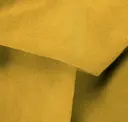 Sunflower Yellow