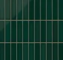 Evergreen - Gloss
