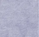 Silver Gray