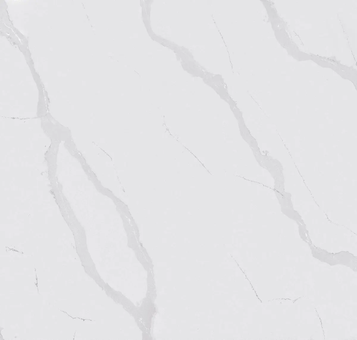 Main