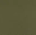 Army