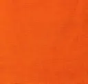 Persimmon