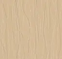 Champagne