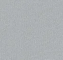 Quicksilver
