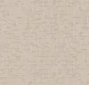 Cement