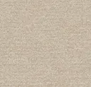 Desert