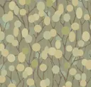Juniper