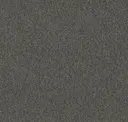 Charcoal