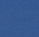 Electric