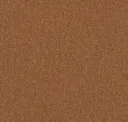 Acorn