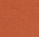 Spice