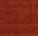 Dark Salmon