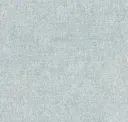 Ice Blue