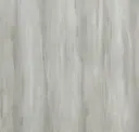 Ostrea