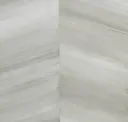 Ostrea
