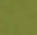 Seaweed