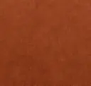 Spice