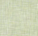 Bright Lime
