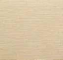 Maize