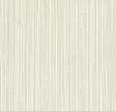 Bone