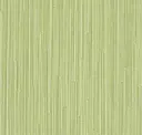 Seagrass