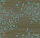 Palmetto
