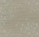 Golden Grey