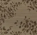 Mocha