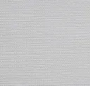 Palest Silver