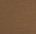 Chestnut Gold