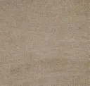 Antelope