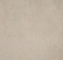Fossil