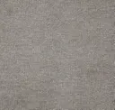 Iron