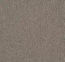 Chinchilla
