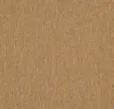 Cinnamon