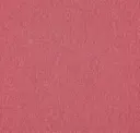 Sorbet