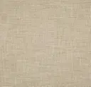 Hemp