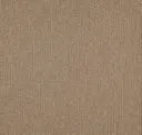 Biscuit
