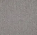 Iron