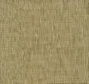 Pigment