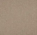 Funghi