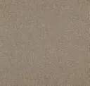 Putty
