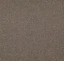 Zinc