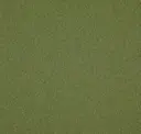 Hedge