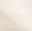 Gesso